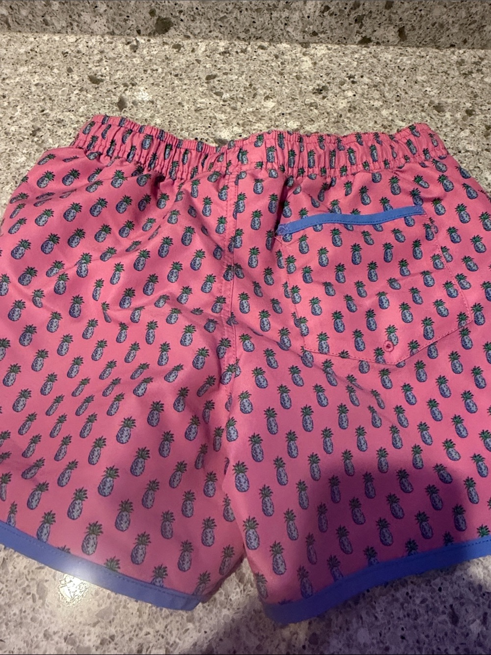 Polo by Ralph Lauren Pink Pineapple Print Boys' Swim Trunks with Blue Trim - Picture 6 of 6